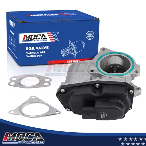 Egr valve for - valve,